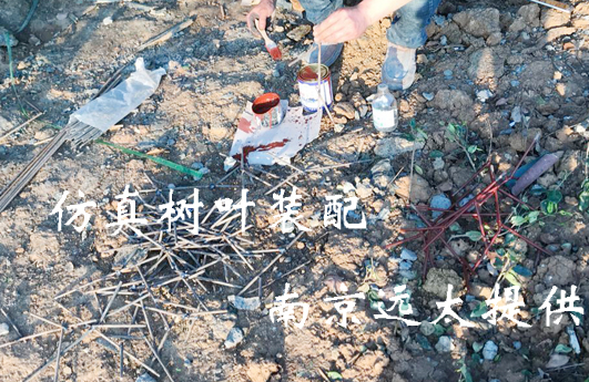 仿真树叶装配.jpg