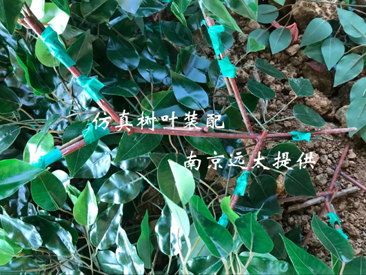 仿真树叶装配1.jpg