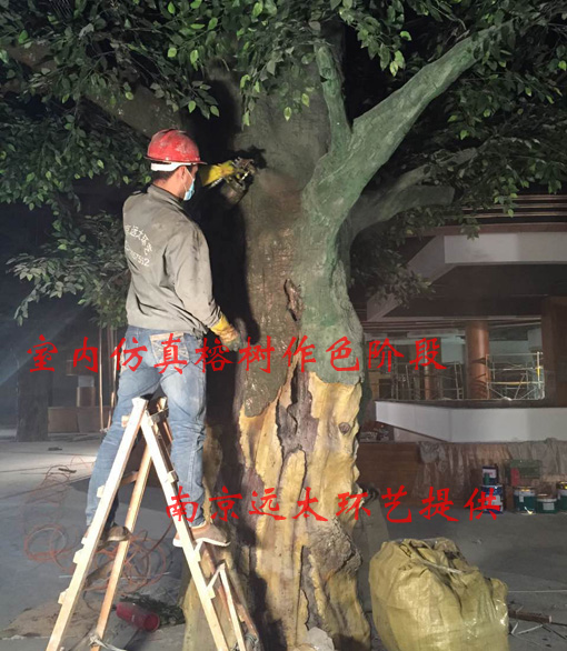 塑模树1.jpg