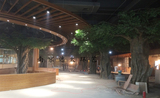 南京巴布洛生态体验馆仿真榕树